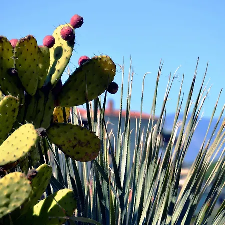 Отель Afrodite Boutique